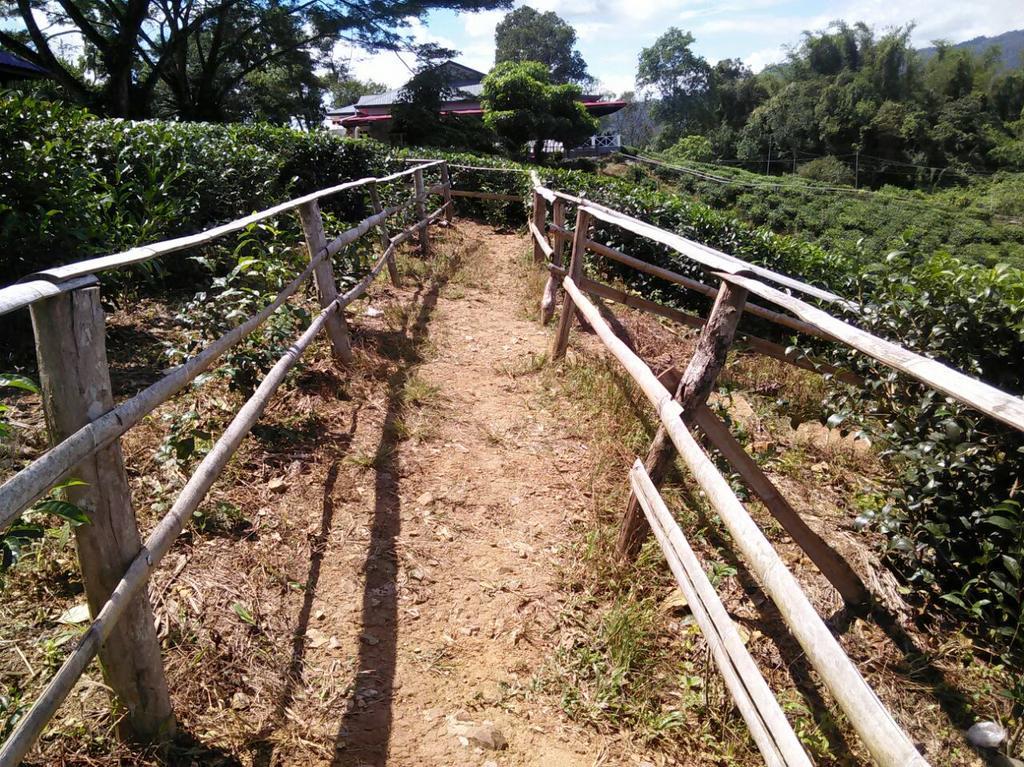 沙巴茶园酒店 拉瑙 外观 照片