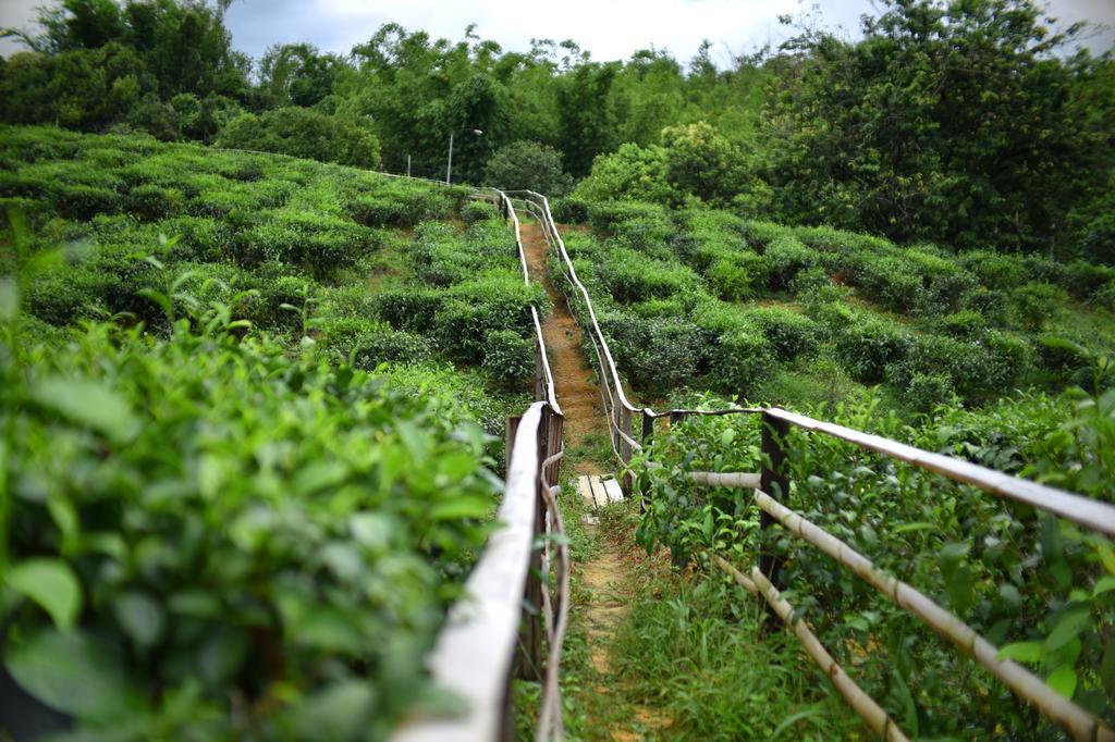 沙巴茶园酒店 拉瑙 外观 照片